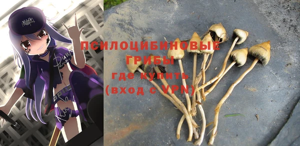 каннабис Алексеевка