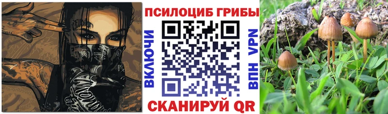 MEGA ССЫЛКА  Александровск-Сахалинский  Псилоцибиновые грибы Cubensis  площадка состав  сколько стоит 